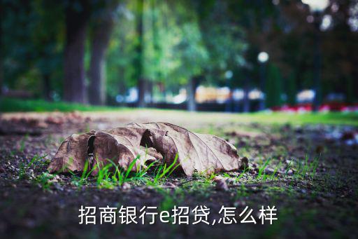 E选易推怎么样,易贷平台利息高不属实微信官方服务中心不实
