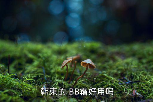  韩束的 BB霜好用吗