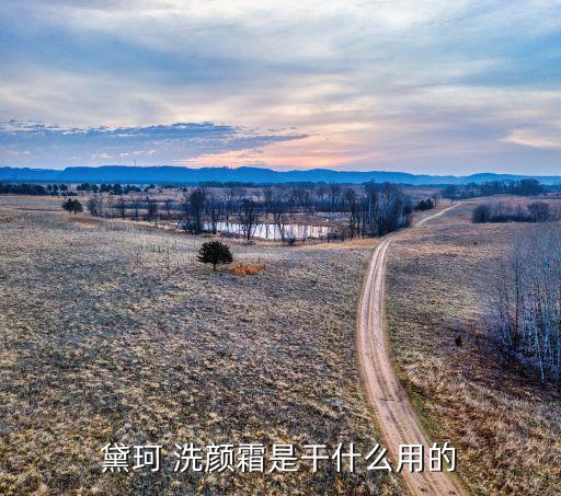 黛珂 洗颜霜是干什么用的