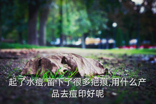 起了水痘,留下了很多疤痕,用什么产品去痘印好呢