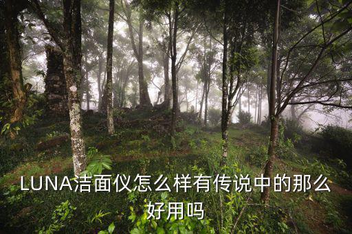 LUNA洁面仪怎么样有传说中的那么好用吗