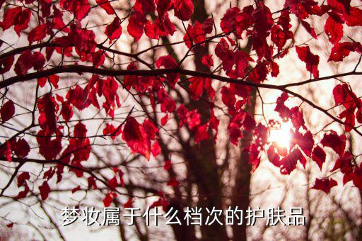 梦妆木槿精华怎么样,梦妆护肤品质感不错颜值挺高的