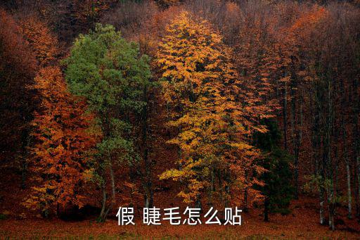 假 睫毛怎么贴