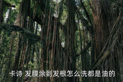  卡诗 发膜涂到发根怎么洗都是油的