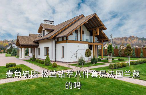 松茸眼部精华眼霜怎么样,欧洲护肤品牌抗衰老效果显著