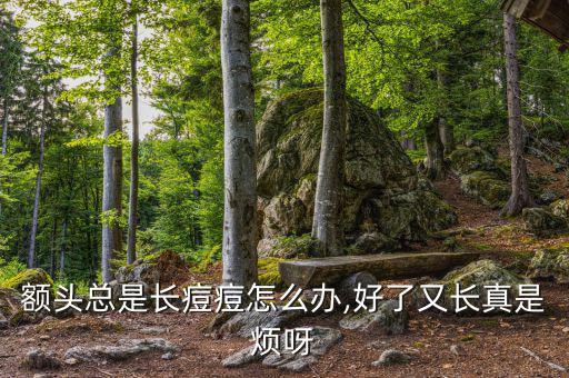 额头总是长痘痘怎么办,好了又长真是烦呀