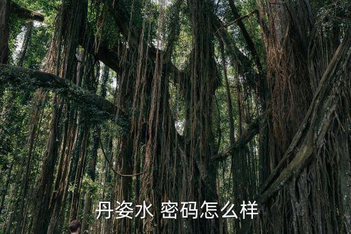 丹姿水 密码怎么样