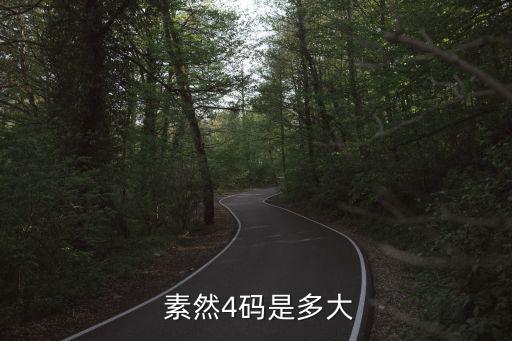  素然4码是多大