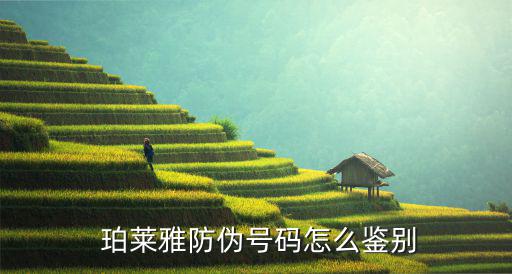 珀莱雅官方怎么辩真假