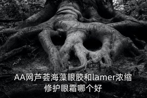 AA网芦荟海藻眼胶和lamer浓缩修护眼霜哪个好