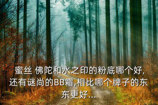  蜜丝 佛陀和水之印的粉底哪个好,还有谜尚的BB霜,相比哪个牌子的东东更好...