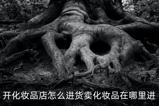 开化妆品店怎么进货卖化妆品在哪里进