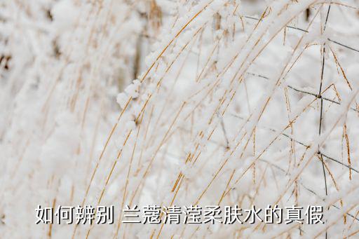 兰蔻嫩肤水怎么分真假,兰蔻清透爽肤水官方旗舰店正式上架