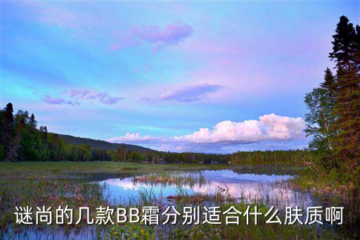 谜尚的几款BB霜分别适合什么肤质啊
