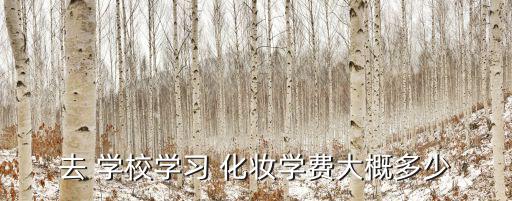 株洲化妆学校怎么收费,武汉化妆学校整体收费高于其他城市