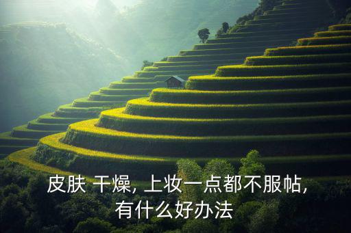  皮肤 干燥, 上妆一点都不服帖,有什么好办法