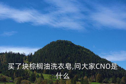 印尼香皂怎么样,独特香味棕榈油皂皂洗涤性能最好出处印尼