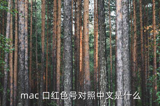 mac口红怎么看型号,口红知多少?问与答（19）