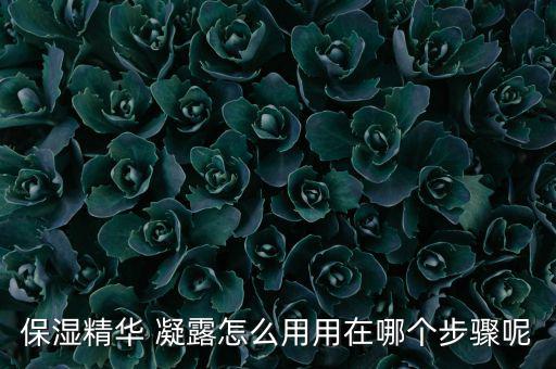 保湿精华 凝露怎么用用在哪个步骤呢