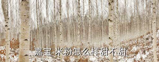  嘉宝 米粉怎么样甜不甜