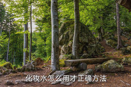 克丽缇娜化妆水怎么用,三种面霜混合使用效果更好