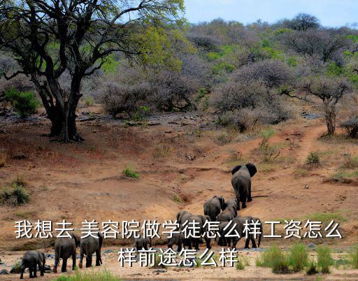 我想去 美容院做学徒怎么样工资怎么样前途怎么样