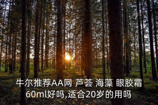 aa海藻芦荟眼胶怎么用,护肤知多少?问与答（13）