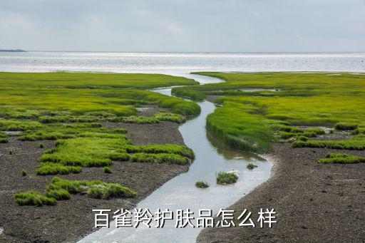  百雀羚护肤品怎么样
