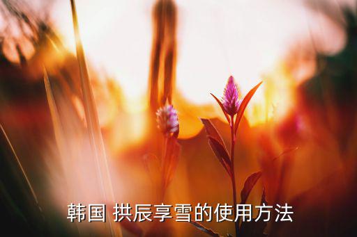 韩国面膜拱辰享怎么用,水润睡眠面膜知多少?问与答（19）