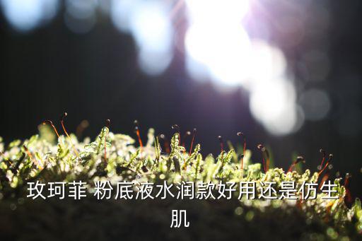  玫珂菲 粉底液水润款好用还是仿生肌