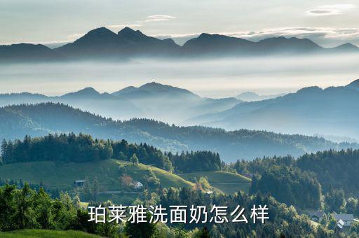 珀莱雅洗面奶怎么样
