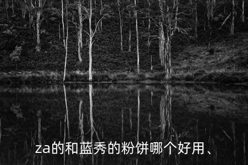 夏天用蓝秀粉饼怎么样,不知道粉饼好还是面霜之别