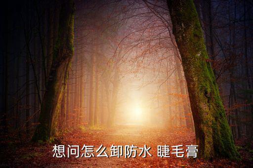 3ce睫毛膏怎么卸,怎么去除防水睫毛膏?
