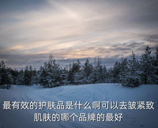 最有效的护肤品是什么啊可以去皱紧致肌肤的哪个品牌的最好