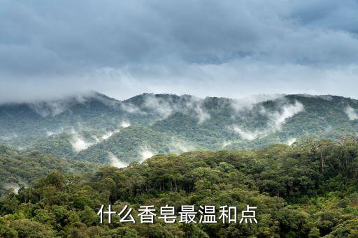 燕麦皂怎么做,这是一款进口护肤洗脸皂吗?