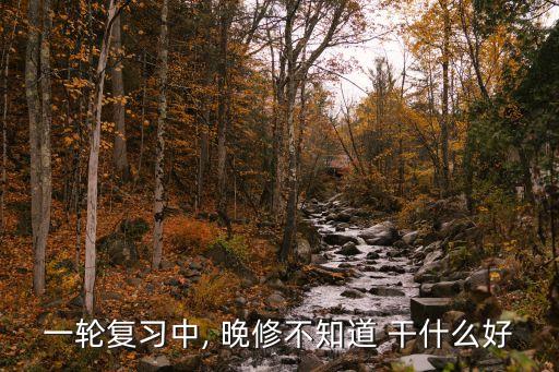 一轮复习中, 晚修不知道 干什么好