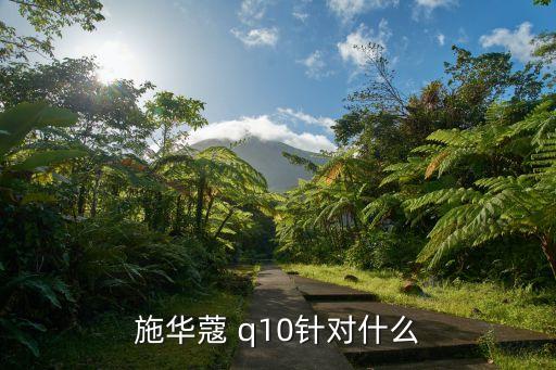 q10幻时新生系列怎么样