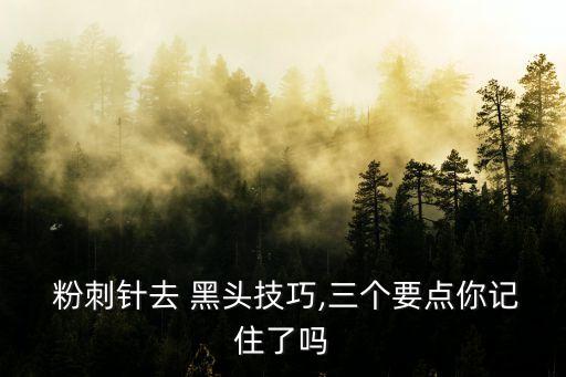  粉刺针去 黑头技巧,三个要点你记住了吗