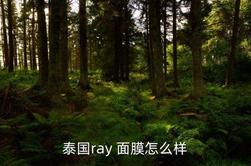 泰国ray 面膜怎么样