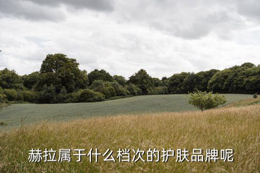 韩国赫拉洗面奶怎么样,韩国homa洗面奶怎么样
