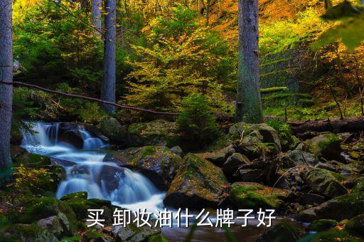 买 卸妆油什么牌子好
