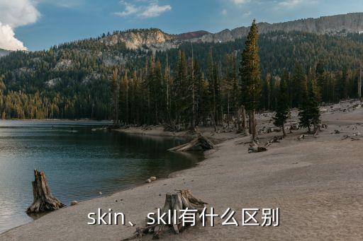 skin化妆品套装盒多少钱