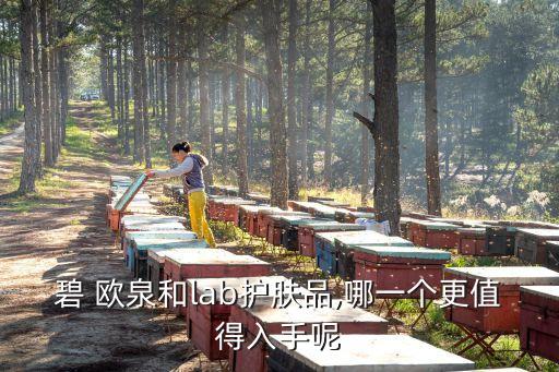 碧 欧泉和lab护肤品,哪一个更值得入手呢