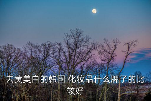 去黄美白的韩国 化妆品什么牌子的比较好