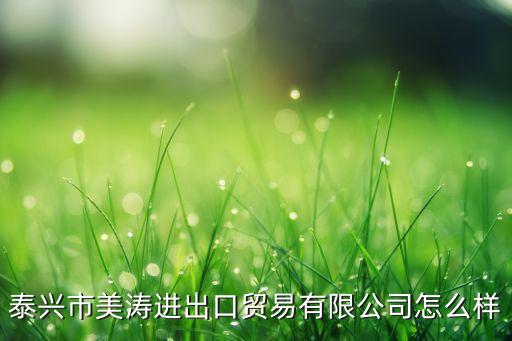 泰兴市美涛进出口贸易有限公司怎么样