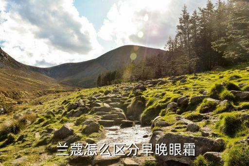  兰蔻怎么区分早晚眼霜