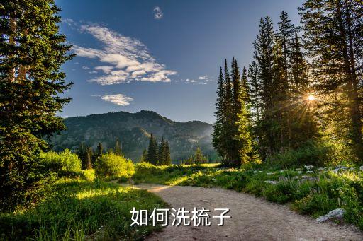 如何洗梳子