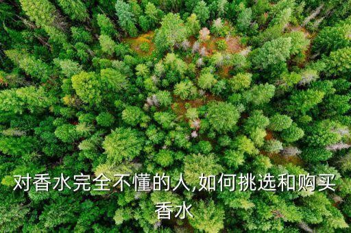 香之园香精多少钱一瓶,一瓶法国香水要多少钱?香精种类有哪些?
