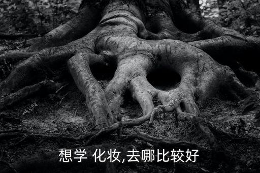 想学 化妆,去哪比较好