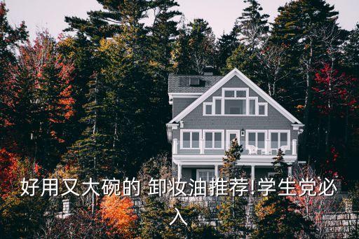 好用又大碗的 卸妆油推荐!学生党必入